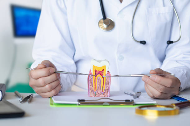 Best Emergency TMJ Treatment in Fritz Creek, AK
